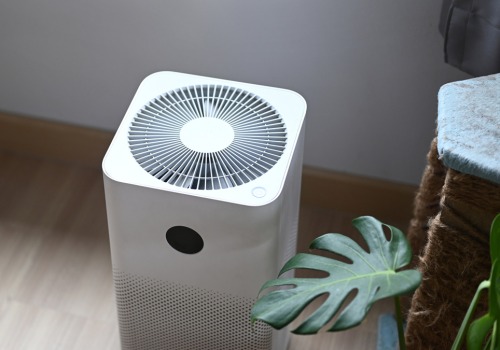 How Much Should You Spend on an Air Purifier? - An Expert's Guide